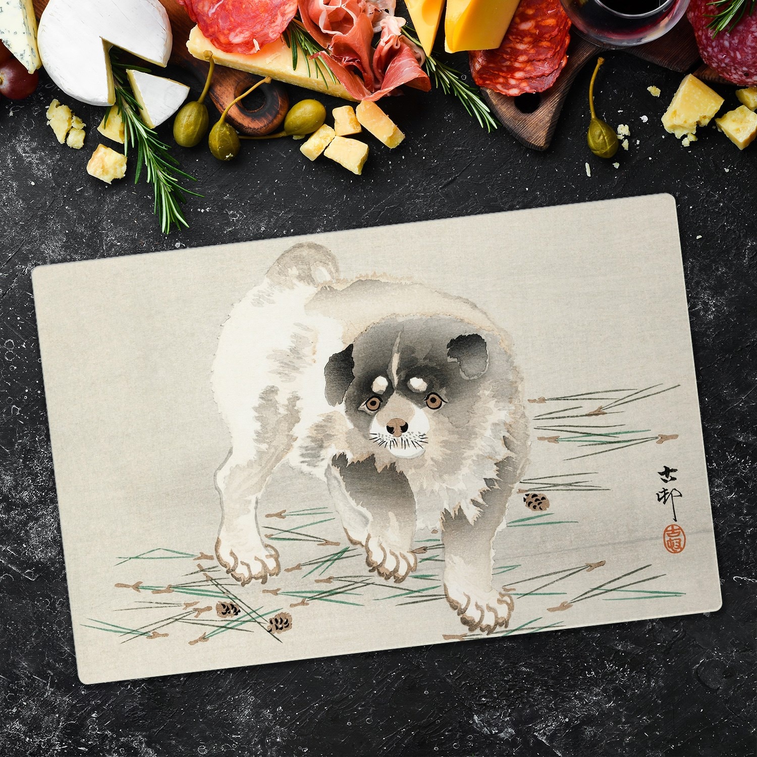 dog&co 　POINT-H Nylon collar with contact points | www.dogwatch.ro