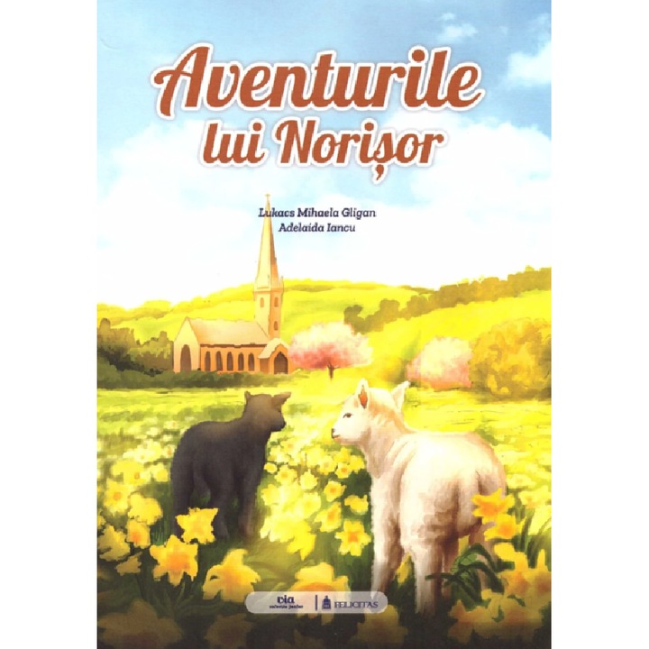 Aventurile Lui Norisor - Lukacs Mihaela Gligan, Adelaida Iancu