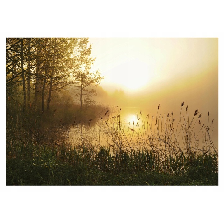 Fototapet Padure Ceata Copaci Muntii Peisaj 3D Lacul 254x184 cm, Vlies Tapet, Decorativ, Perete, Living