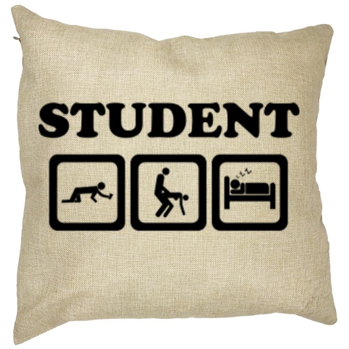 Négyzet díszpárna, Student, 40x40 cm, Levehető huzat