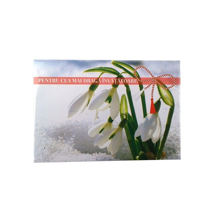 Magnet placuta cu flori si mesaj pentru invatatoare, M2, 5.5X8 cm
