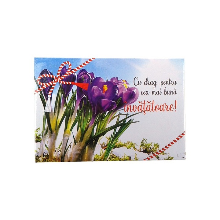 Magnet placuta cu flori si mesaj pentru invatatoare, M3, 5.5X8 cm