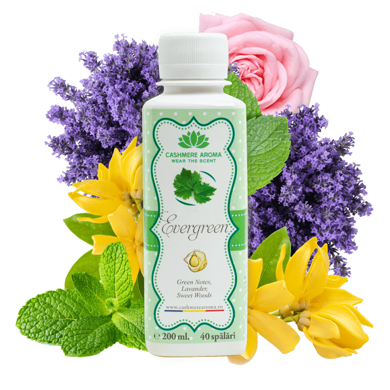 Парфюм за пране Evergreen, Cashmere Aroma, 200 мл - eMAG.bg