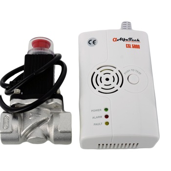Detector Gaze cu Electrovalva 1/2 Detector Gaze cu Electrovalva 1/2