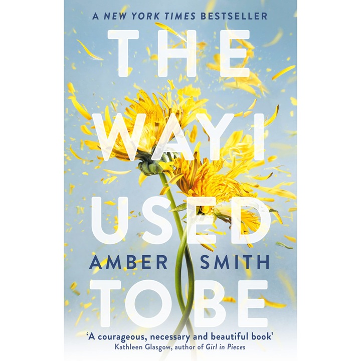 The Way I Used to Be - Amber Smith, editia 2023