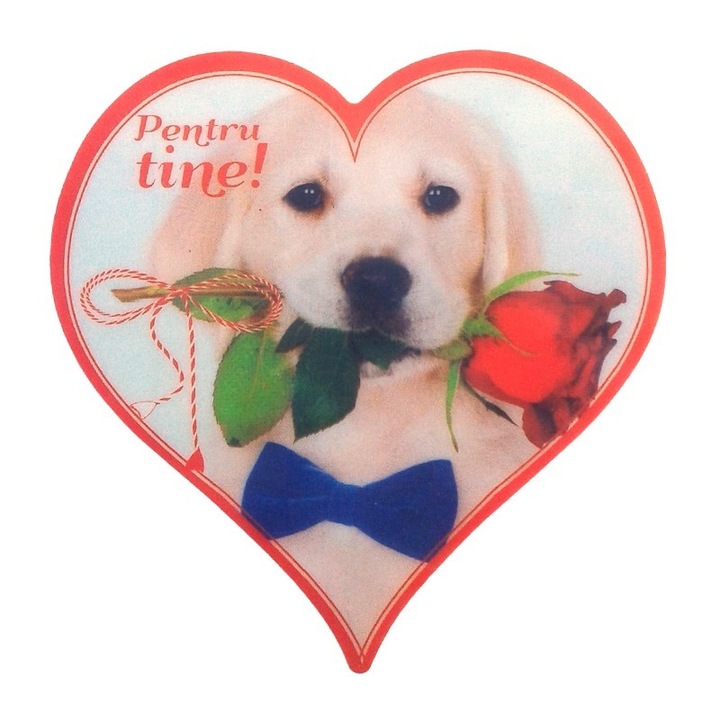 Magnet din plastic cu aspect sidefat, in forma de inima, cu animale, flori si dedicatii de primavara, M11, 9X9 cm