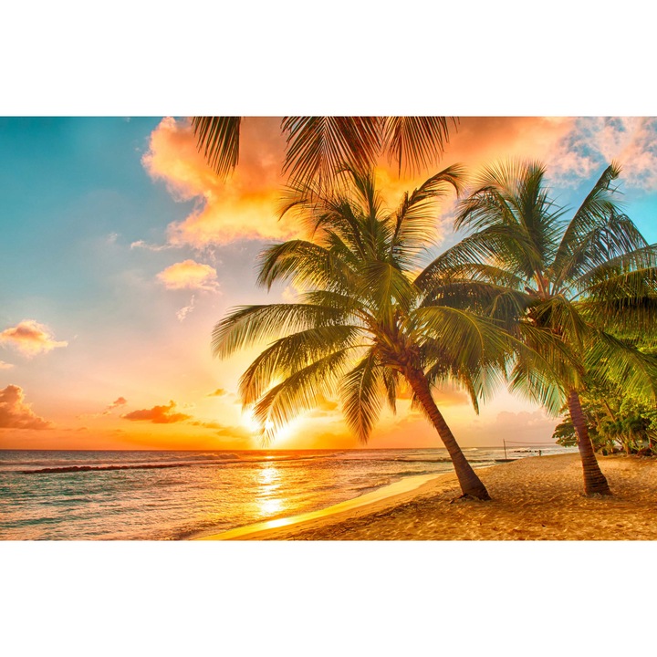 Tablou canvas Palmieri tropicali pe plaja 9570, panza 360g pe sasiu lemn 60cm x 80cm, Living, Dormitor