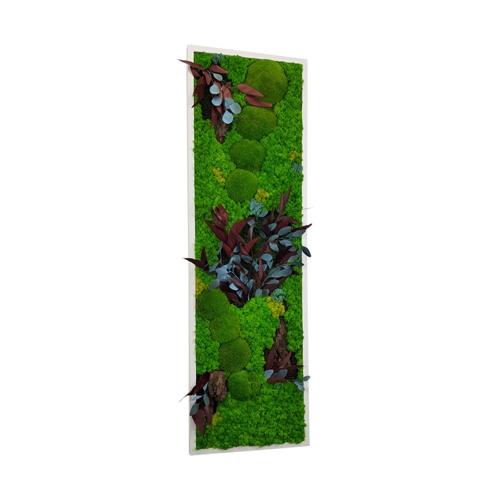 Tablou Licheni, Muschi si Plante Naturale Stabilizate, Model Ilona, Design Vertical, Dimensiune 40 x 130 cm
