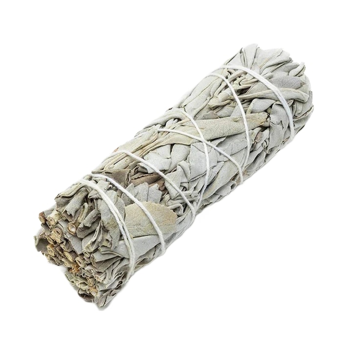 Buchet Salvie Alba - California White Sage, 10-12cm