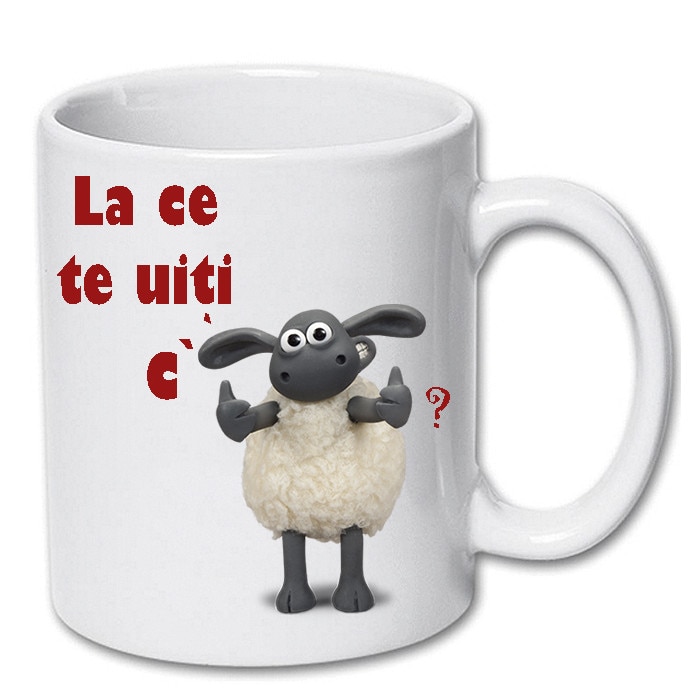 Cana personalizata cu mesaj 