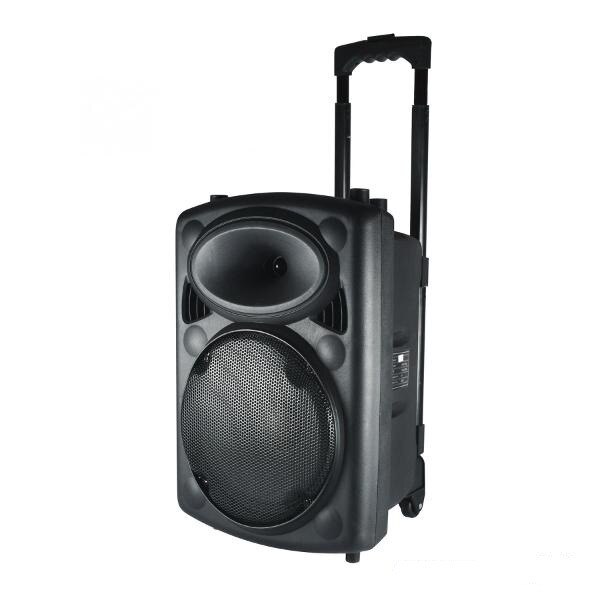 Boxa portabila activa, 25 cm, acumulator, BT, radio FM, redare MP3, SD, LED PAB 25A