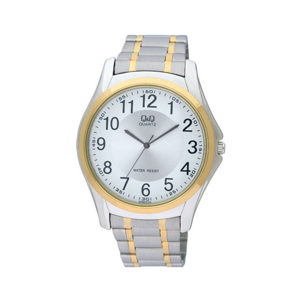 Ceas Barbatesc Q&Q Q206J404Y