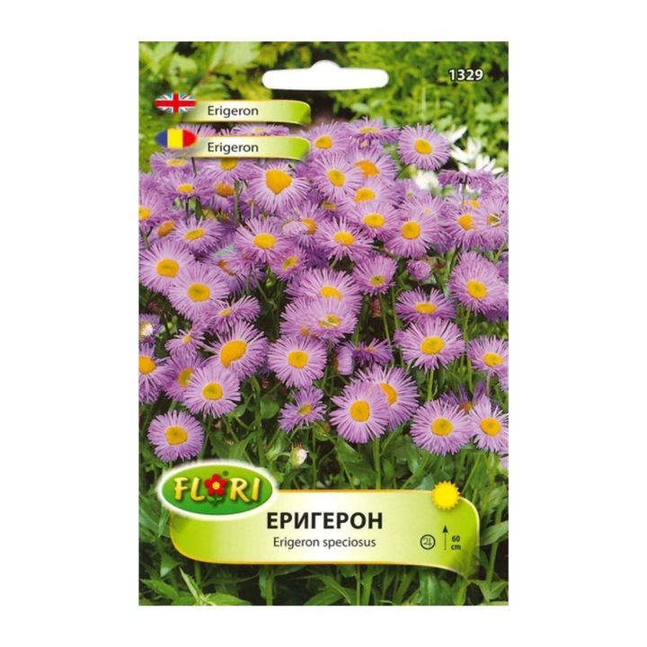 Seminte de erigeron, 0.5 grame, Florian