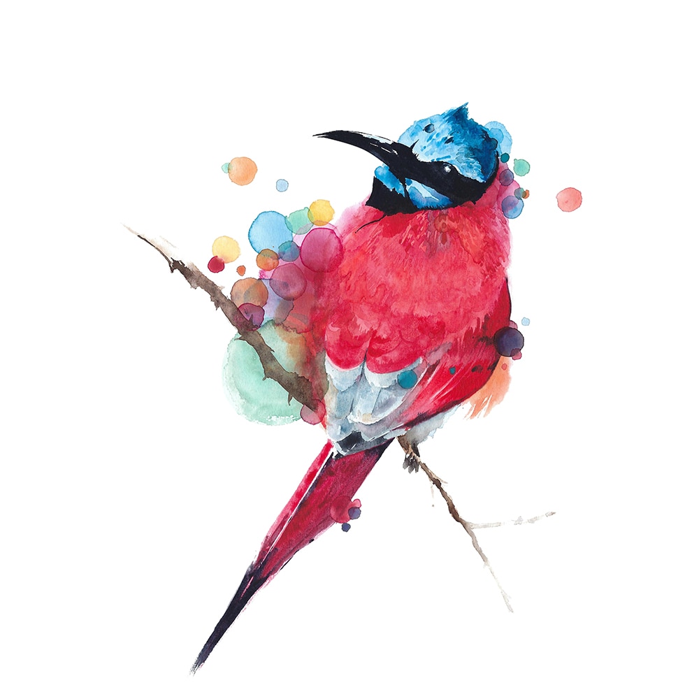 Poster, Pasare Colorata, 30x40 - eMAG.ro