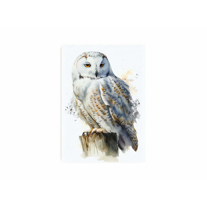Tablou Ana Design Bufnita Alba, fara rama, print pe hartie foto mata, 200 g/m2, arta digitala, 30x40 cm