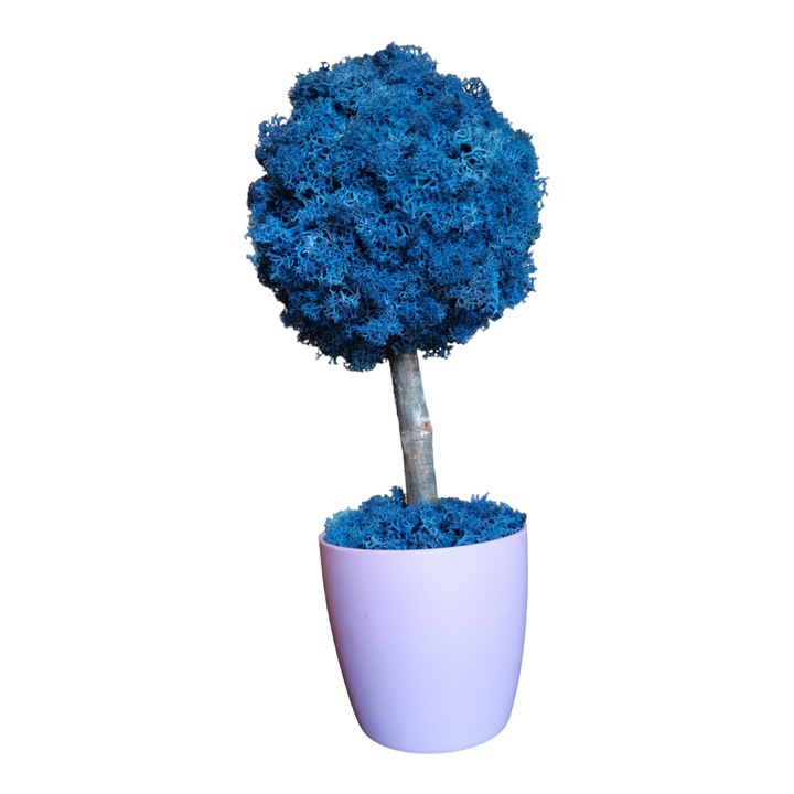 Copacel decorativ cu licheni stabilizati / Aranjament floral tip copacel cu licheni naturali, albastru / Decoratiune, 35 cm