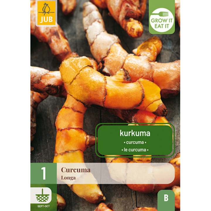 Bulbi de Curcuma Longa, 1 Buc