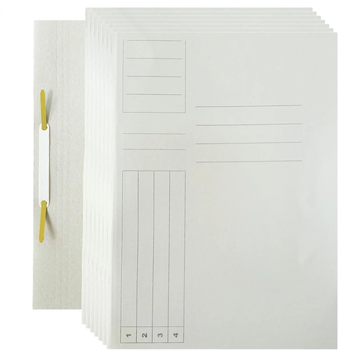 Dosar cu sina din carton, FLR, 100 buc/set, 230 gr/mp