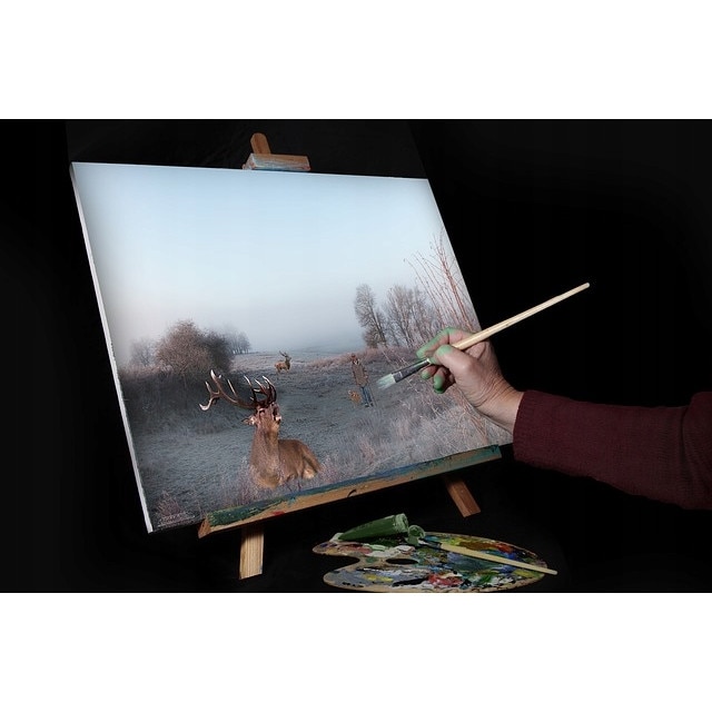 Комплект четки за блажна боя Faber-Castell - eMAG.bg