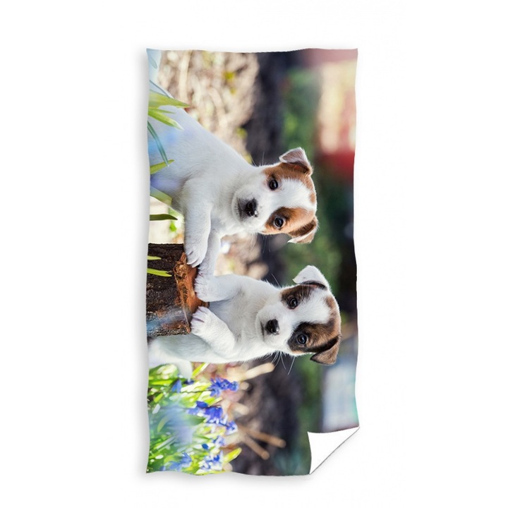 Плажна кърпа, Карботекс, Памук, 70х140 см, Многоцветна