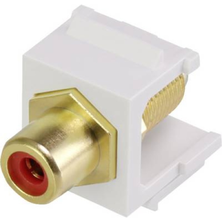 Renkforce RF-KS-RCAFR RCA вграден модул Keystone (RF-3434012)