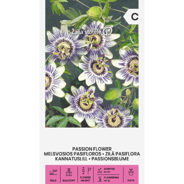 Seminte, Floarea Pasiunii Passiflora Coreulea Blue, Žalia Stotelė, plic, 0.1 grame