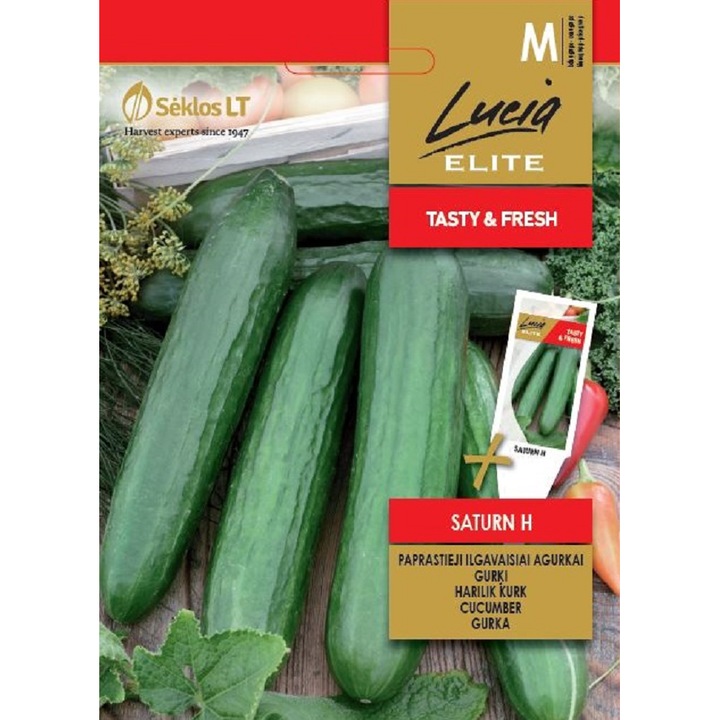 Seminte, Castraveti Saturn H, Lucia Elite, plic, 10 seminte