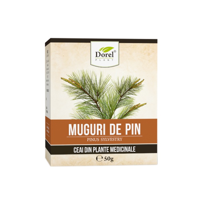 Ceai de Muguri de pin Dorel Plant 50 grame