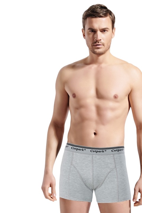 Boxeri barbati Bruno