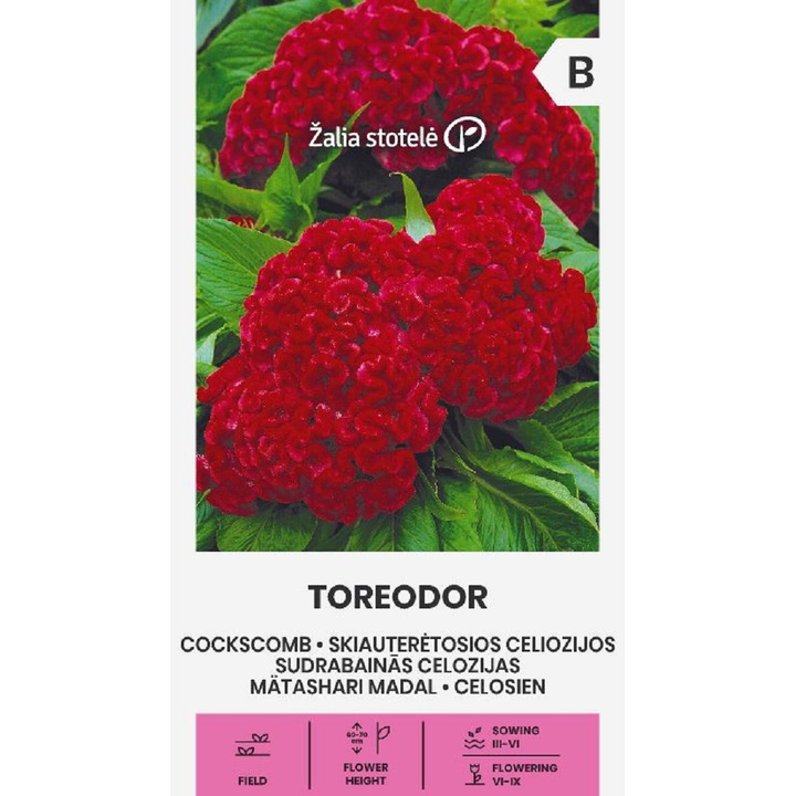 Seminte, Celosia Toreodor, Žalia Stotelė, plic, 0.2 grame