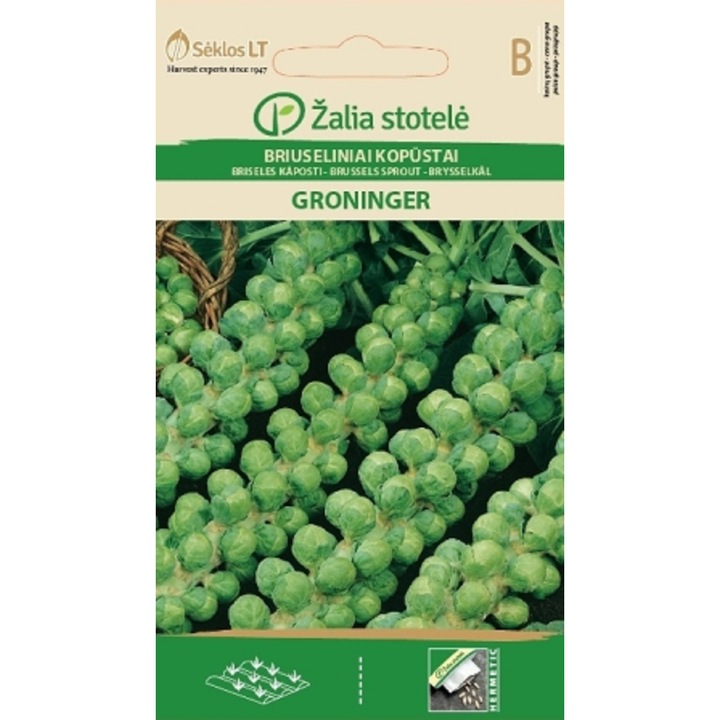 Seminte, Varza de Bruxelles Groninger, Žalia Stotelė, plic, 1 gram