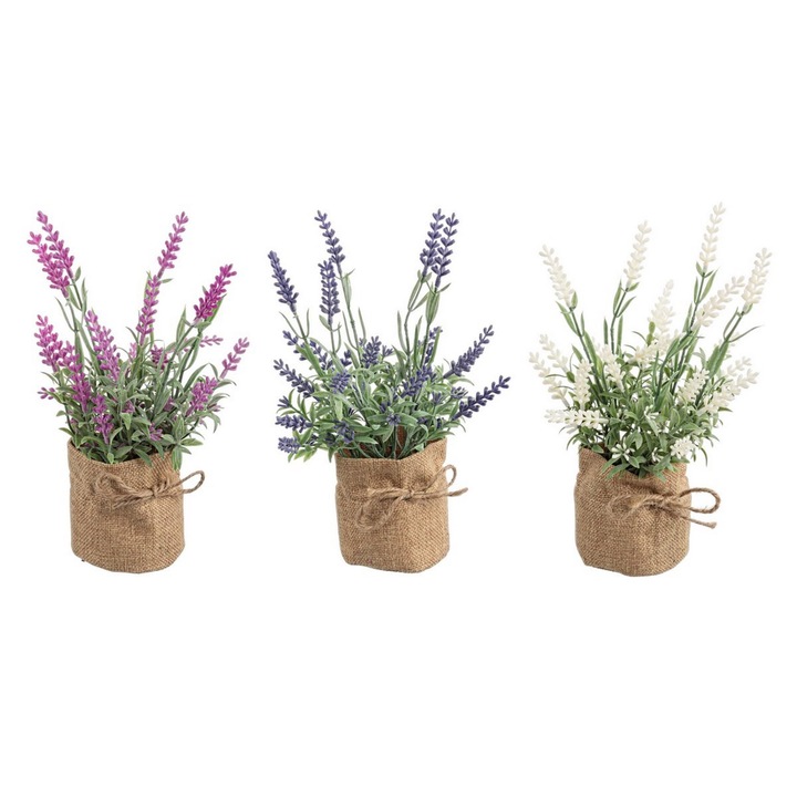 Set 3 ghivece Lavanda 7.5x22 cm