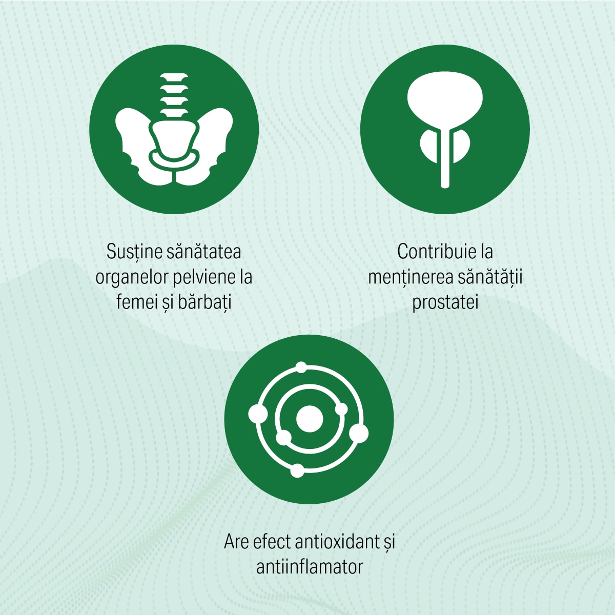 Sunvert, Sun Wave Pharma, controlul răspunsului inflamator al ...