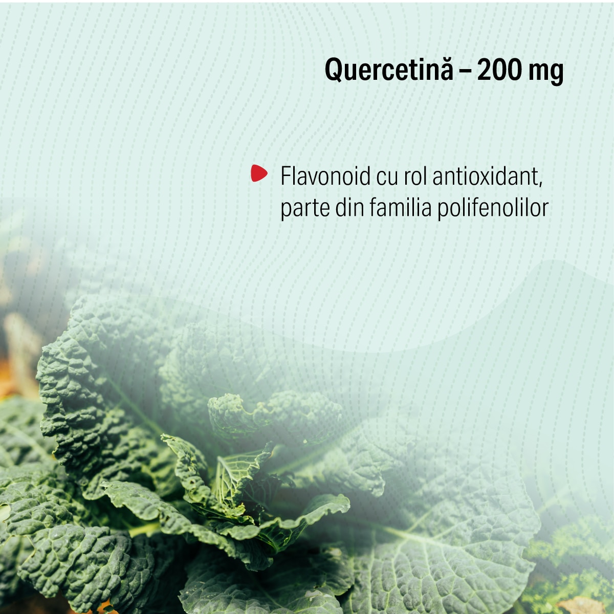 Sunvert, Sun Wave Pharma, controlul răspunsului inflamator al ...