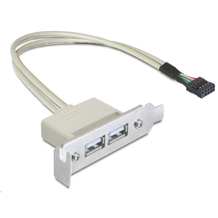 Delock Y-Kabel USB 2.0 A Auf 2x USB 2.0 A, 0,3m – Für Zusätzliche Stromversorgung Von Festplatten & Co.