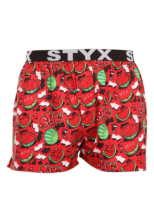 Costum de baie barbati, Styx, Multicolor, Multicolor