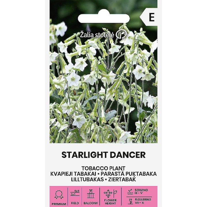 Seminte, Regina Noptii Starlight Dancer, Žalia Stotelė, plic, 50 buc