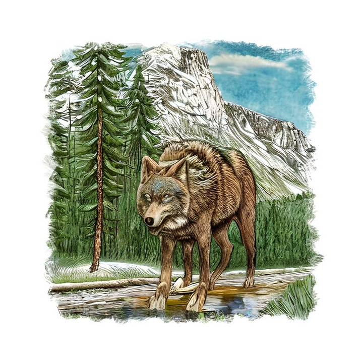 Sticker decorativ, Lup, Maro, 55 cm, 9654ST