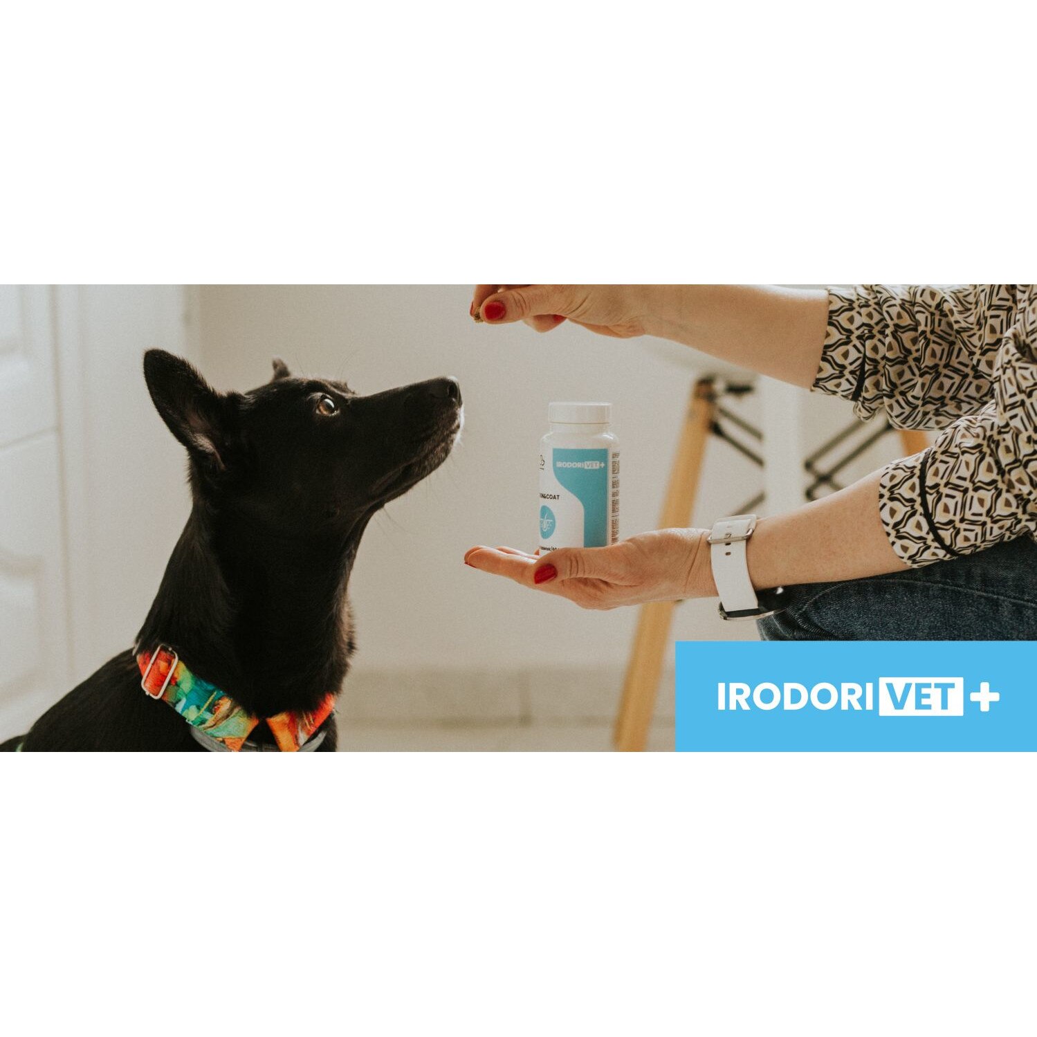 Suplimente, vitamine pentru caini Skin&Coat 60 tablete eMAG.ro