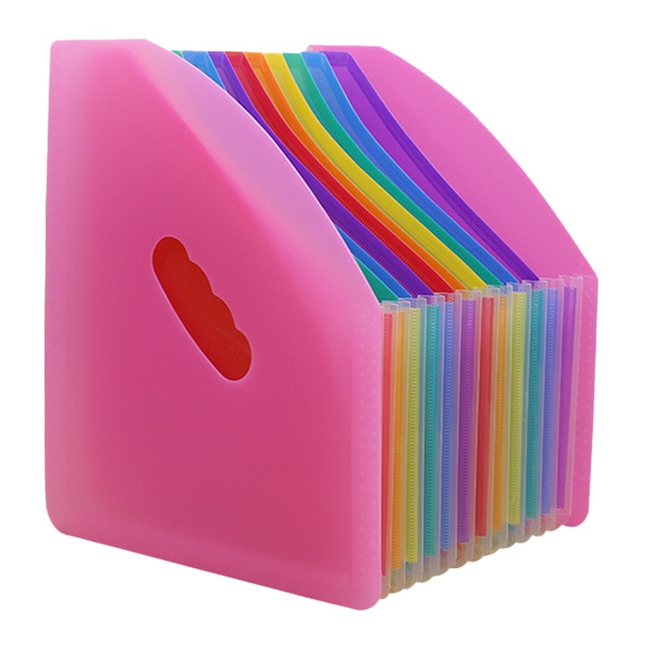 Organizator documente, Plastic, 25.5 x 30.5 cm, Multicolor