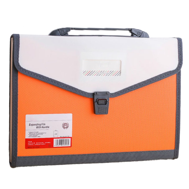 Dosar expansiune cu 13 buzunare, BGHYHYHI, pentru documente A4, cu etichete colorate