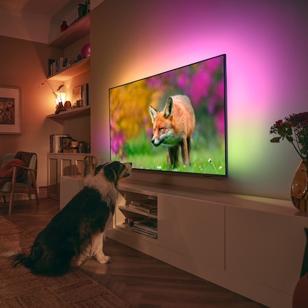 Телевизор Philips Ambilight LED 55PUS8518, 55" (139 см), Google TV, 4K Ultra HD, Клас F (Модел 2023)