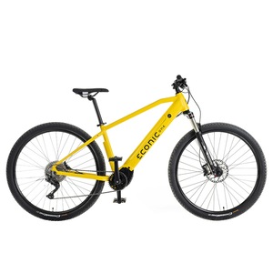 Biciclete electrice