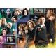 Puzzle Trefl din 1000 de piese - Lumea lui Harry Potter