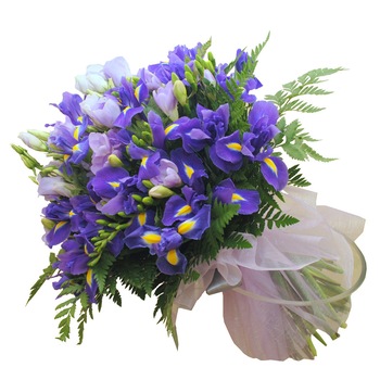 Buchet Violeta Buchet Violeta