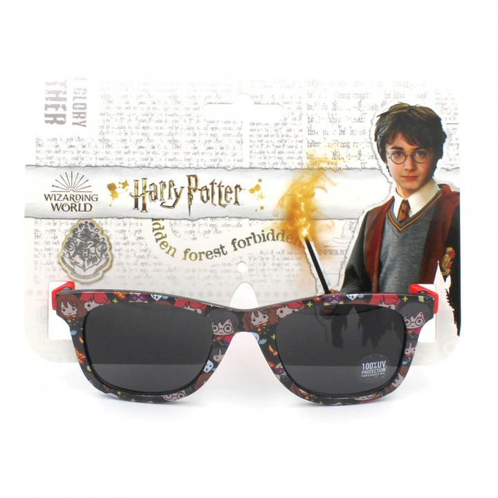 Ochelari soare premium Harry Potter Negru