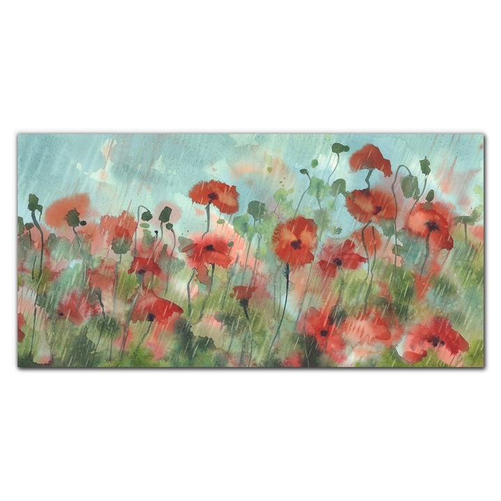 Картина върху платно, Coloray, Дървена рамка, Картина Цветя Растения Макове Дъжд, Многоцветна, 100x50 см, 010030010010000049023