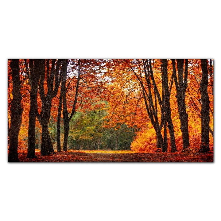 Vászonkép, Coloray, Négyszögletes, Erdei Fák Őszi Természet Festészete, Többszínű, 140x70 cm, 010030010100000049263