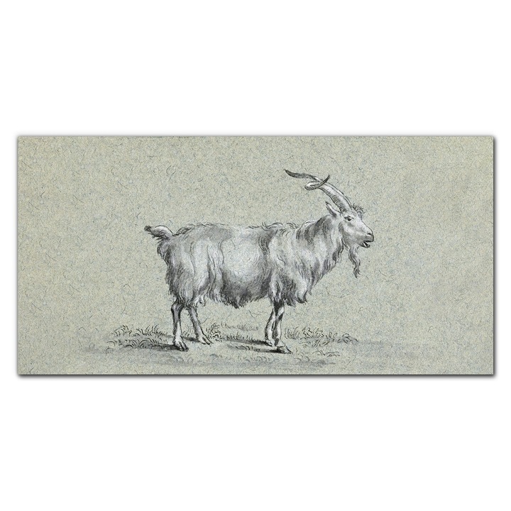 Vászonkép, Coloray, Négyszögletes, Rajz Toll Művészet, Többszínű, 120x60 cm, 010030010060000018015