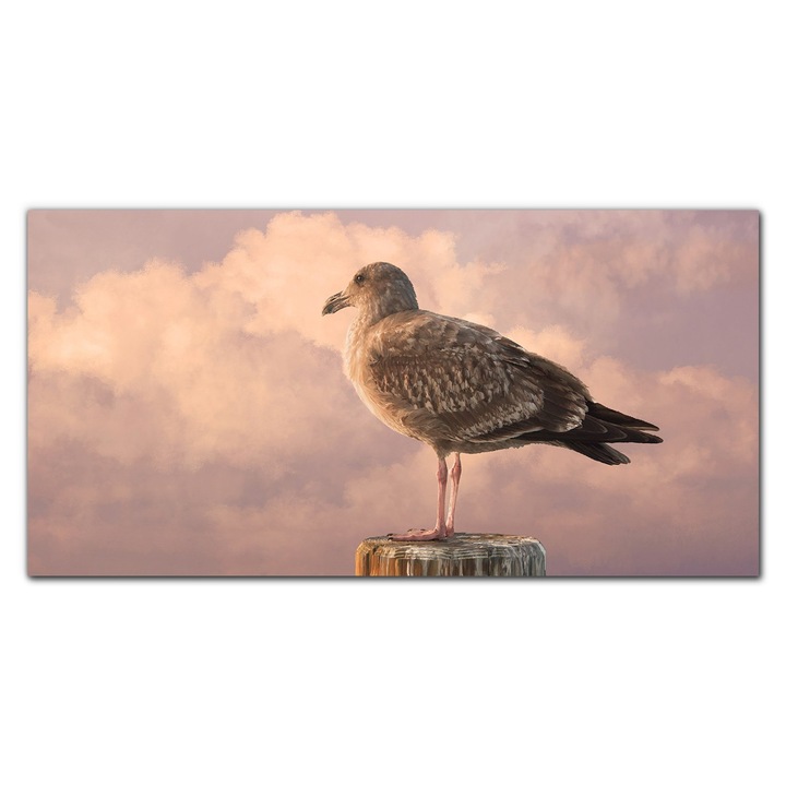 Vászonkép, Coloray, Négyszögletes, Állat Madár Sirály Égbolt Felhők, Többszínű, 100x50 cm, 010030010010000052549
